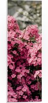 PVC Schuimplaat - Roze Bloementjes - 20x60 cm Foto op PVC Schuimplaat (Met Ophangsysteem)