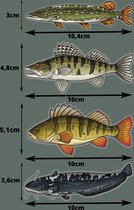 Carpyshot - roofvis stickers - aanbieding - 4 stuks - transparant - snoek - baars - snoekbaars -meerval - vis stickers - roofvissen