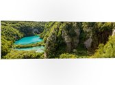 PVC Schuimplaat- Blauwe Wateren bij Planten in het Nationale Park Plitvicemeren, Kroatië - 120x40 cm Foto op PVC Schuimplaat