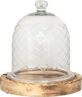 HAES DECO - Coupole décorative en verre avec socle en bois marron, diamètre 22 cm et hauteur 25 cm - ST6GL3532HS