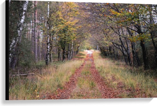 Canvas - Bospad in een Bos in Nederland - 90x60 cm Foto op Canvas Schilderij (Wanddecoratie op Canvas)