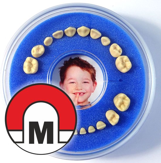 Magnetisch Tandendoosje - Firsty Round Magnetic - Blauw- Jongen/Meisje - Inclusief Logboekje NL, Hoera-Sticker en Verzending
