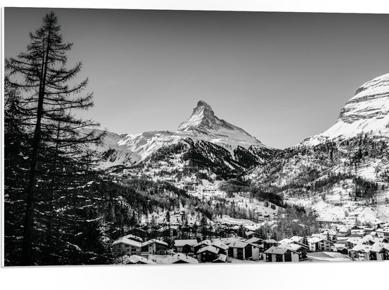 WallClassics - PVC Schuimplaat- Grote Boom voor Sneeuwbergen (zwart/ wit) - 75x50 cm Foto op PVC Schuimplaat