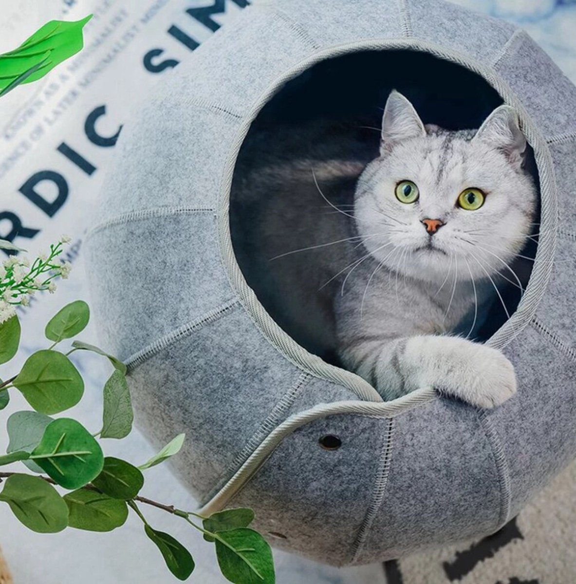 Kattenbed, grotten & huizen, kattentunnel, vilt, M, L