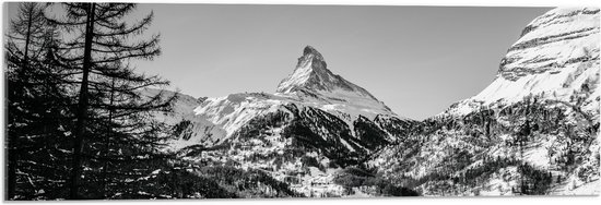 WallClassics - Acrylglas - Grote Boom voor Sneeuwbergen (zwart/ wit) - 90x30 cm Foto op Acrylglas (Wanddecoratie op Acrylaat)
