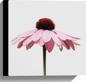WallClassics - Canvas - Zijaanzicht van Roze Bloem - 30x30 cm Foto op Canvas Schilderij (Wanddecoratie op Canvas)