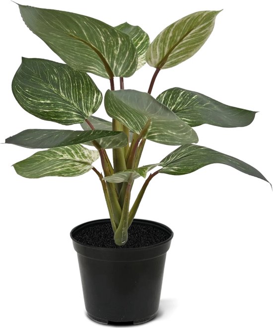 Kunstplant Philondendron Birkin 30 cm