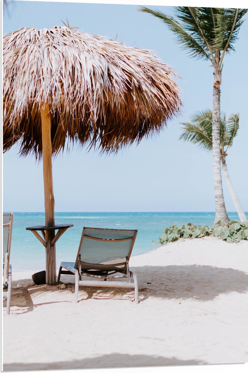 PVC Schuimplaat- Ligbedden onder Rieten Parasol met Palmboom - 70x105 cm Foto op PVC Schuimplaat