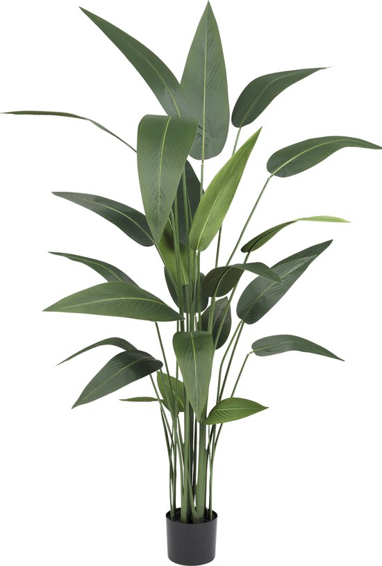 Greenmoods Kunstplanten - Kunstplanten - Heliconia - Zijde - 170 cm