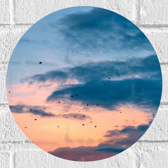 WallClassics - Muursticker Cirkel - Vogels bij Blauwe/ Oranje Wolken - 30x30 cm Foto op Muursticker