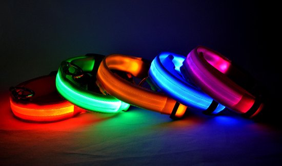 LED Verlichte Hondenhalsband - Rood - Maat M - Veilig voor je hond in het donker