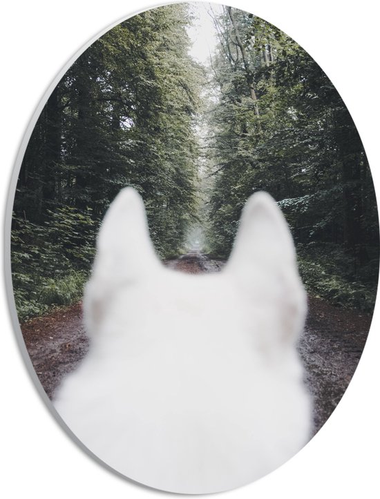WallClassics - Panneau de mousse PVC ovale - Dos de chien Witte dans la forêt - 21x28 cm Photo sur ovale (avec système d'accrochage)