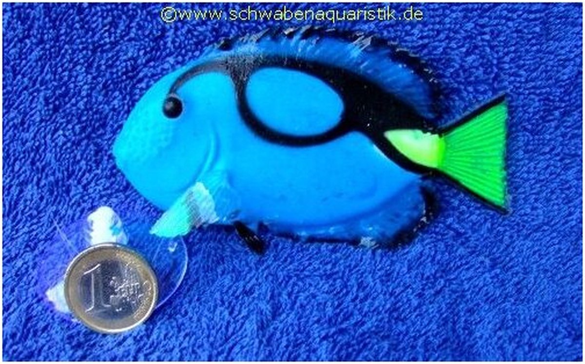 SuperFish gloeiende blauwe tang
