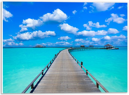 PVC Schuimplaat- Tropisch Resort met Steigers over Helder Blauwe Oceaan - 40x30 cm Foto op PVC Schuimplaat