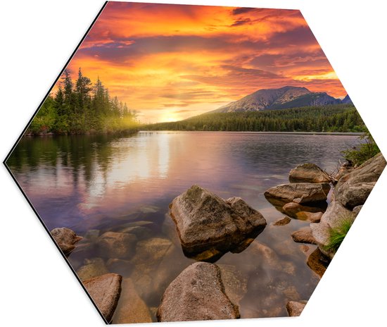 Dibond Hexagon - Zonsondergang aan een Meer met Prachtige Natuur - 60x52.2 cm Foto op Hexagon (Met Ophangsysteem)