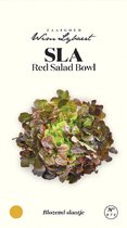 Sla Red Salad Bowl - Zaaigoed Wim Lybaert