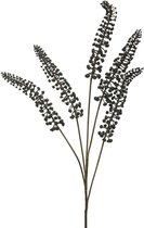 Kunstbloemen En Overige - Phytolacca Black 93cm