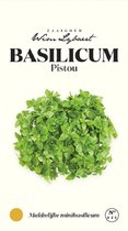 Basilic Pistou - Graines Wim Lybaert