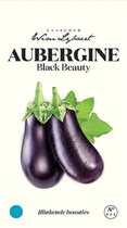 Aubergine Black Beauty - Zaaigoed Wim Lybaert