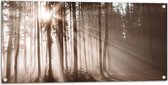 Tuinposter – Zonnestralen die Schijnen door de Bomen heen in de Herfst - 100x50 cm Foto op Tuinposter (wanddecoratie voor buiten en binnen)