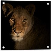 Tuinposter – Leeuwin in de Nacht - 50x50 cm Foto op Tuinposter (wanddecoratie voor buiten en binnen)
