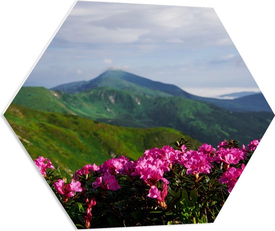 PVC Schuimplaat Hexagon - Groepje Roze Bloemen op Top van Berg in Berglandschap - 80x69.6 cm Foto op Hexagon (Met Ophangsysteem)