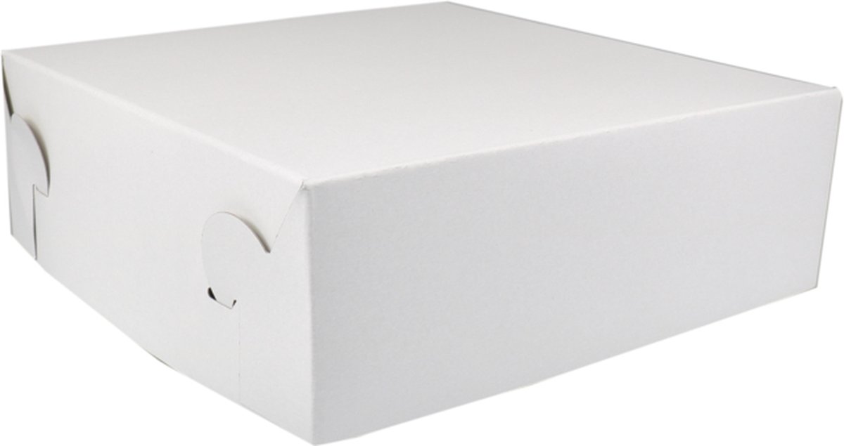 Zwanenhals/ verzenddoos | karton | 30x30x10cm | duplex | wit | Voordeelverpakking | 2 x 50 stuks
