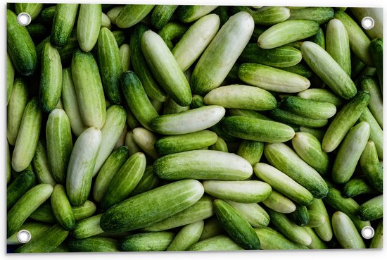 Tuinposter – Hoopje Groene Komkommers - 60x40 cm Foto op Tuinposter (wanddecoratie voor buiten en binnen)