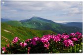 Tuinposter – Groepje Roze Bloemen op Top van Berg in Berglandschap - 75x50 cm Foto op Tuinposter (wanddecoratie voor buiten en binnen)