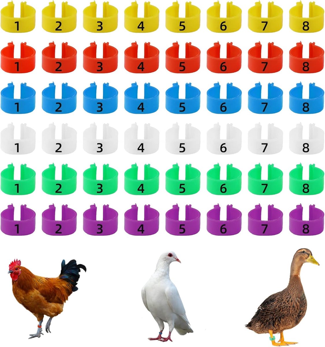 48Pcs Chicken Leg Rings Multi-Color Chicken Identification Leg Bands Numbered Clip on Poultry Leg Rings for Gamefowl - ShopVlot