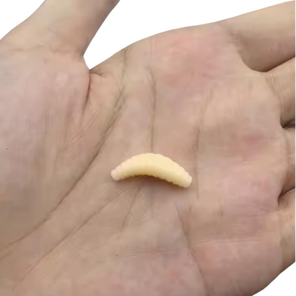 AMZfishing NEW Fair 2025, 100 x Lifelike Artificial Maggots - Maggots Imitations - Maggots Rubber - Maggots - ShopVlot