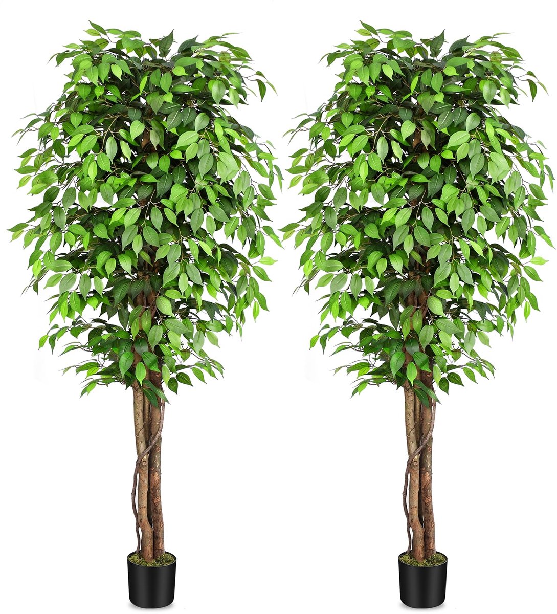 Keeplush Kunstplant Ficusboom 210cm, Kunstmatige planten groot als echt met stam van natuurlijk hout, Kunstboom groot - ShopVlot