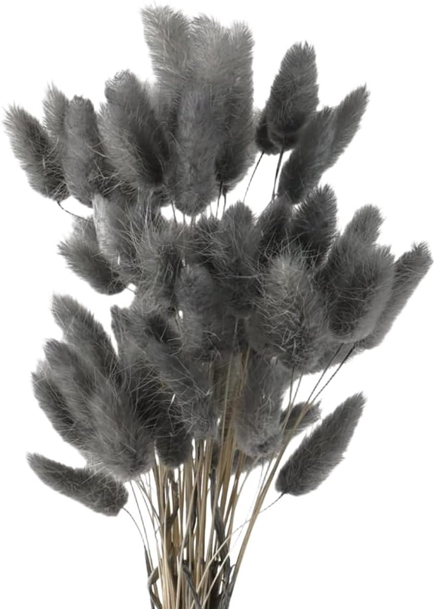 Dried Pampas Grass Rabbit Tail Grass 60 Pieces Natural Dried Flowers Bouquet Decoration Art Large Dried Flowers Pampas - ShopVlot