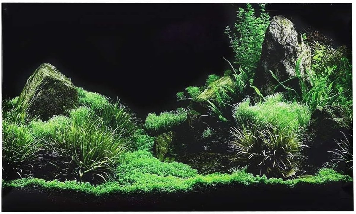 Aquarium Achtergrond Poster 3D Effect - PVC Watergras - Realistisch Zeebodem Design - Ideaal voor Terrarium en Aquarium - ShopVlot