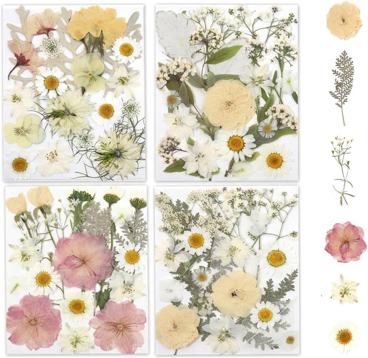 Drog bloemen 80pcs - Natuurlijk gedroogd - Zacht geel, wit, roze - Perfect voor resin en DIY - ShopVlot