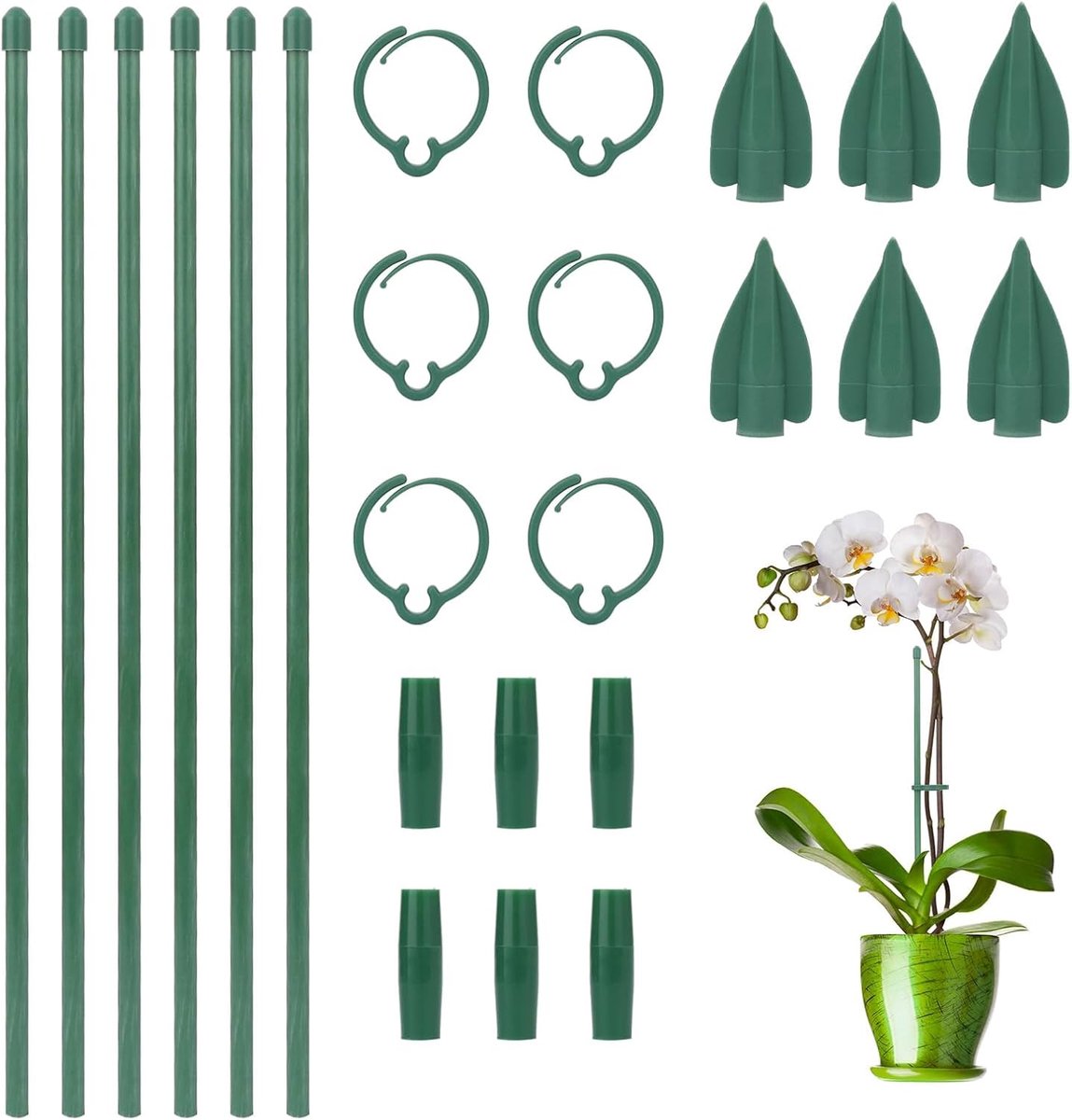 Pack of 6 Plant Supports, 32.5 cm, 6 Carabiner Hooks, Equipped Monstera Climbing Aid, Indoor Plants, 3 Extension - ShopVlot