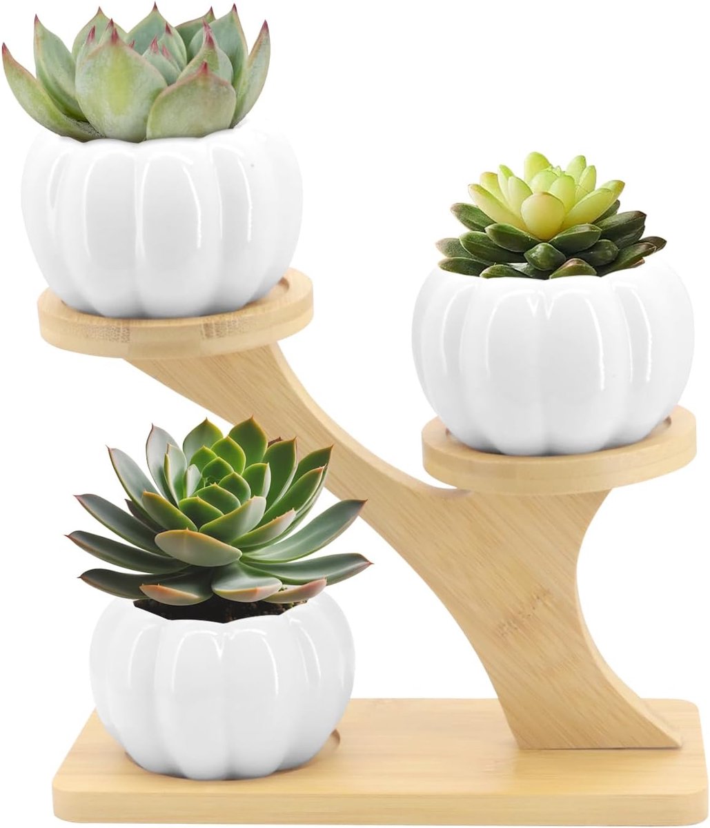 SnelShoppen - Bloempot voor Succulenten - Keramische Bloempot met Bamboe Onderzetter - Kleine Cactus Plantenpot voor Thuis, Kantoor, Bureau, Vensterba