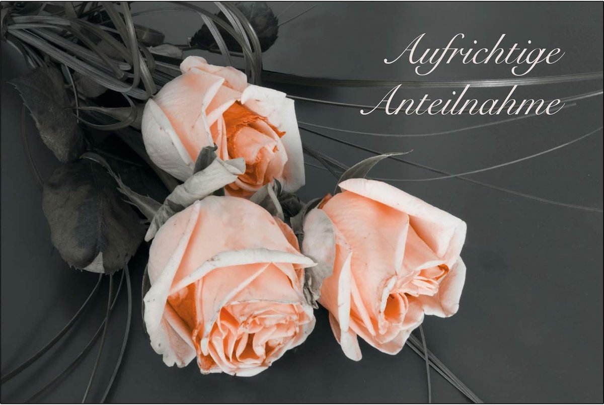 Funeral kaarten set van 18 - Premium kaartjes met enveloppen - Stijlvolle condoleance kaarten - ShopVlot