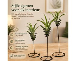 Set van 3 Staande Spiralen met Tillandsia Capitata Peach – Handgemaakte Luchtplant Houdertjes – Decoratieve Tafeldecoratie – Trendyairplants/moederdag/kado voor mama/mamma/moederdagidee/kadotip/voor mamma/moederdagcadeau