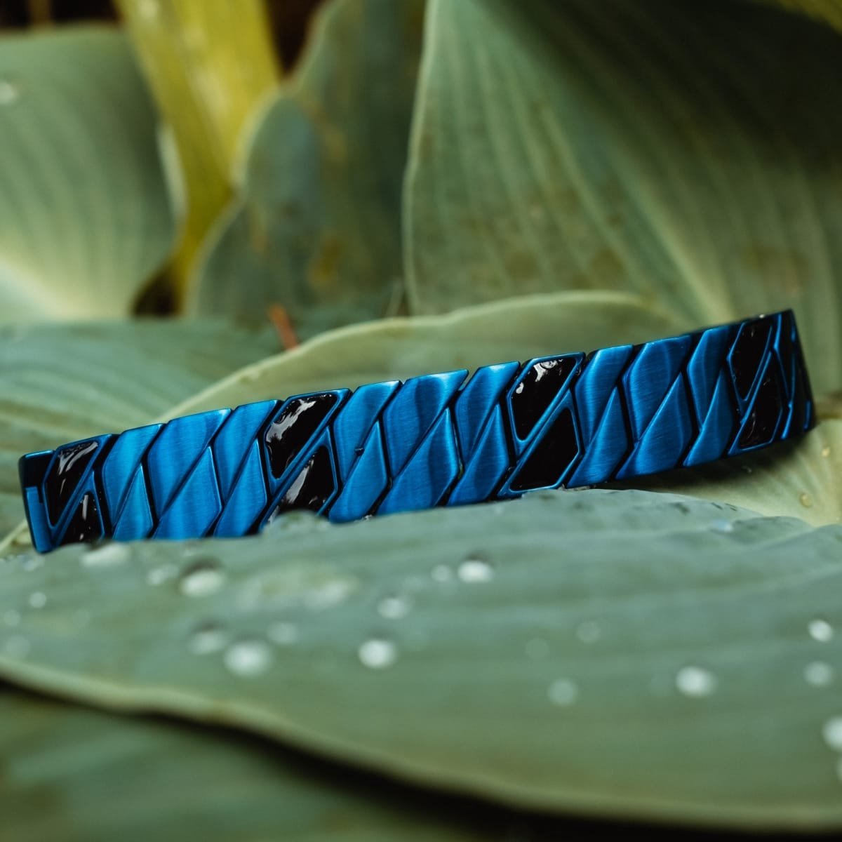 Holzkern armband Bariton Esdoorn & Blauw