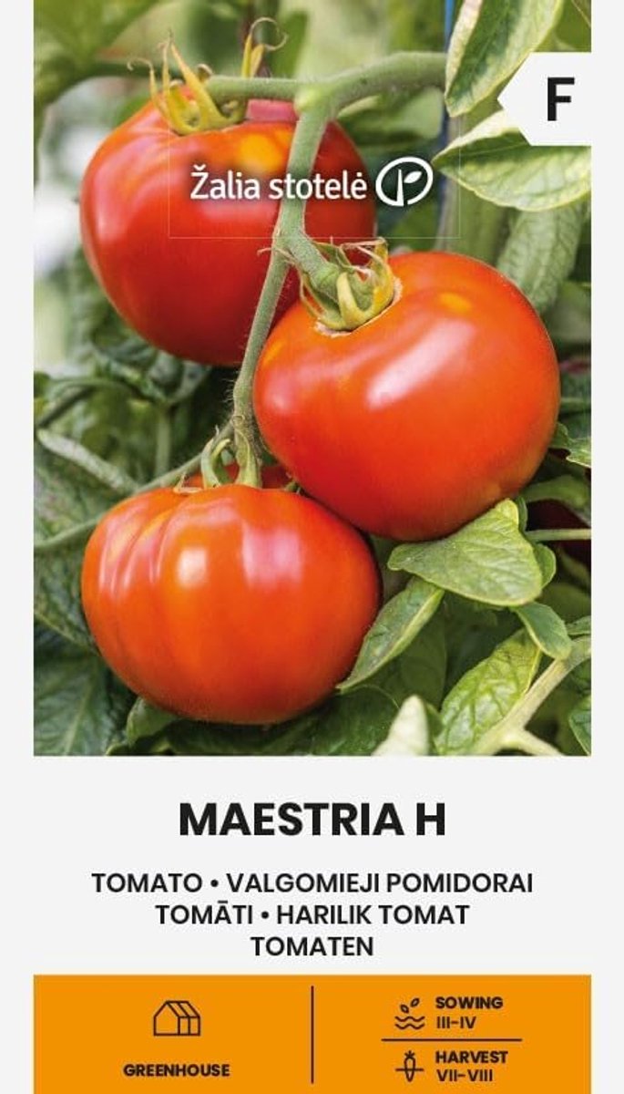 Zalia stotele - Tomato – Maestria H seeds - Vegetable seeds - Plant seeds - Tomato seeds - ShopVlot