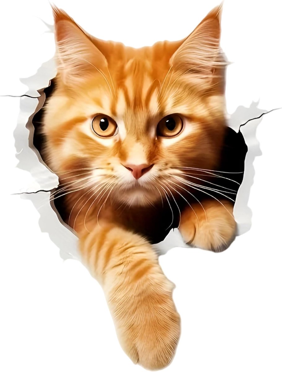 3D-stickers voor katten gluren met oranje gember kat, zelfklevend vinyl, 2 stuks, voor auto, laptop, motorfiets - ShopVlot