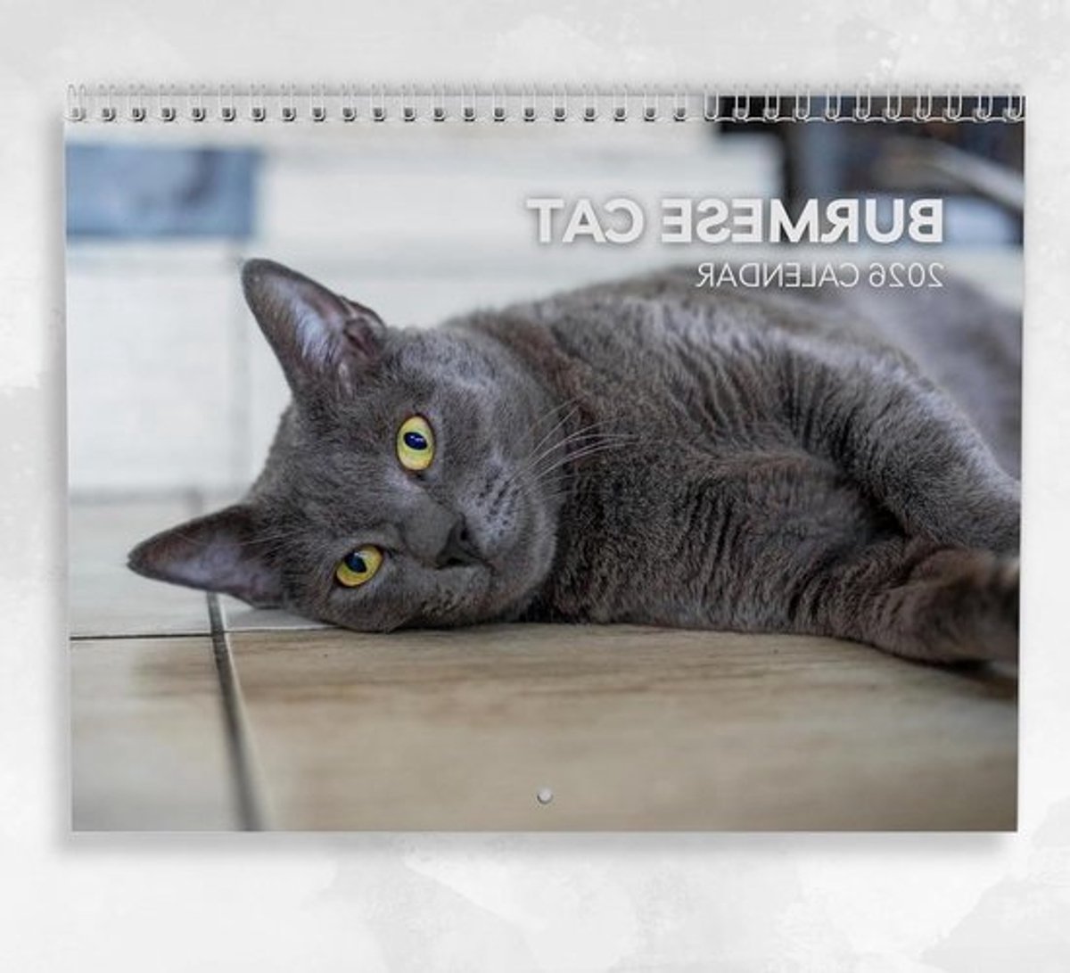 Katten Kalender - Maandkalender Muurkalender - Jaar Plannen - Met Notities Sectie - A3 Formaat - Meerdere Kleuren