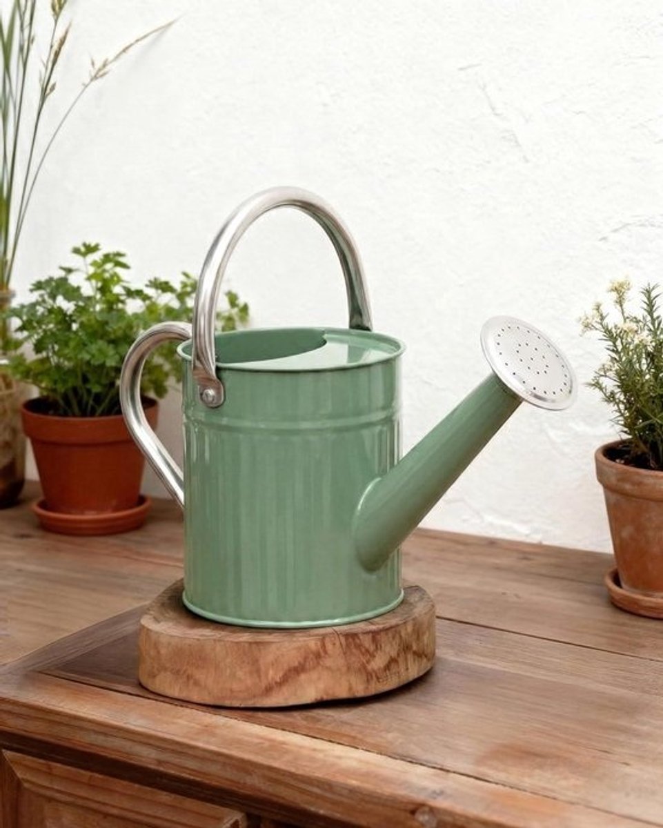 Metalen Gieter - Water Kan - Planten Water Geven - Roestvrij Metaal - 24 Liter - Groen