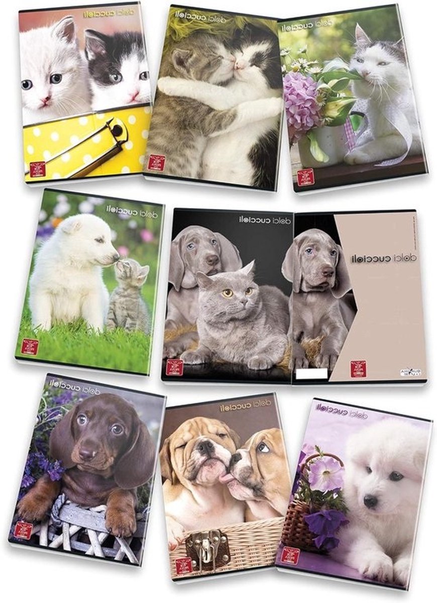 Notitieboeken - Schriften Schrijfblokken - Schoolwerk Organiseren - Geruit 1 cm - A4 - Multicolor