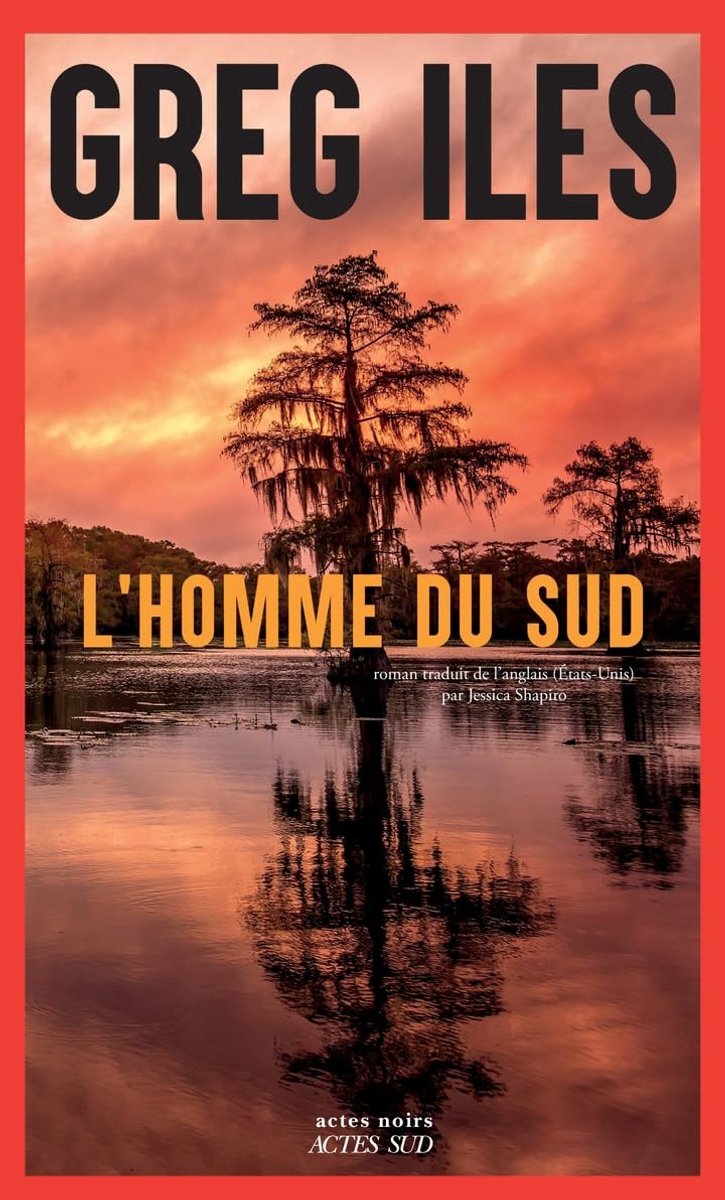 Boek L'Homme du Sud