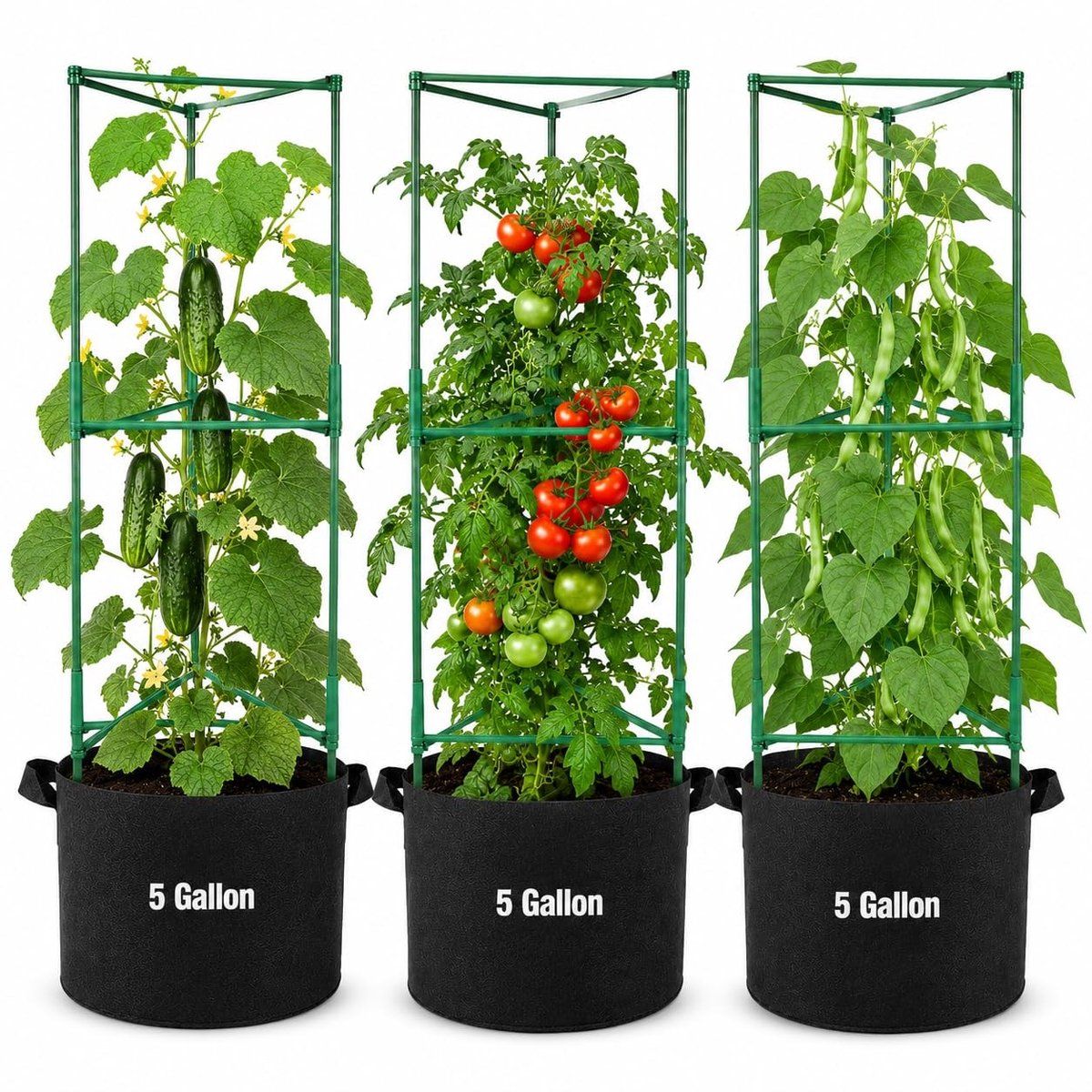 Set van 3 Tomatensteunen met 5 Gallon Groentassen - Zwart