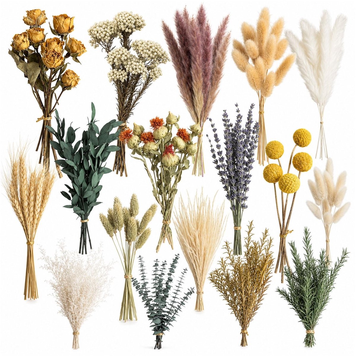 Set van 16 soorten droogbloemen - Natuurlijke bruin- en aardetinten