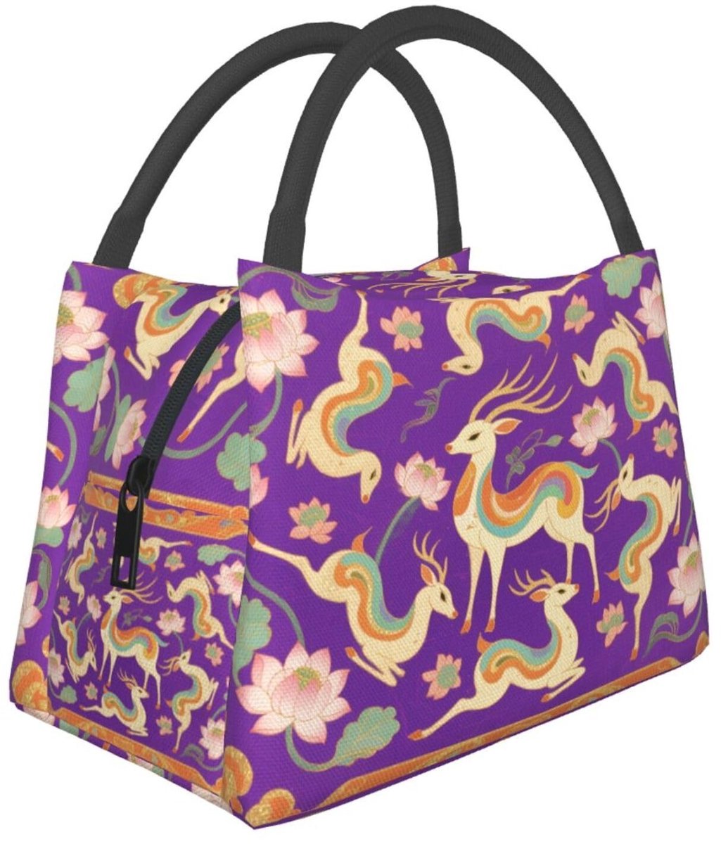 Opvouwbare Geïsoleerde Lunch Box - Zachte Koelere Zak