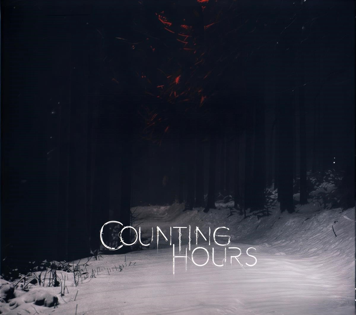 Counting Hours - The Will (CD)